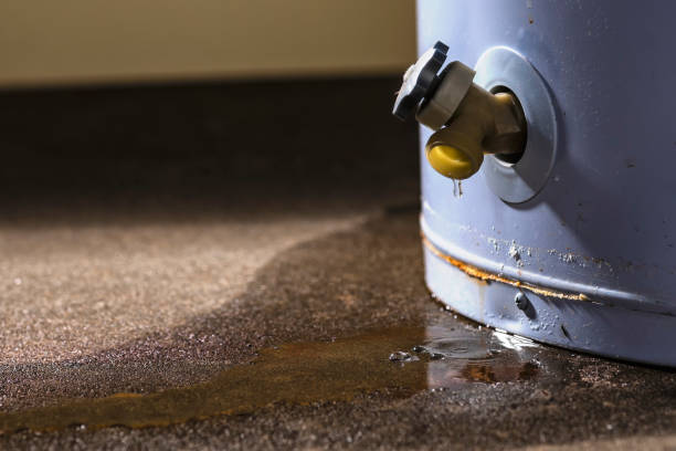 Best Sewage cleanup and water damage restoration  in New Richmond, OH