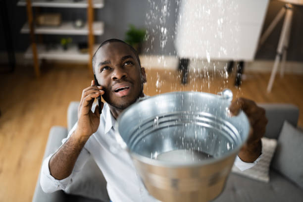 Best Water damage restoration company  in New Richmond, OH