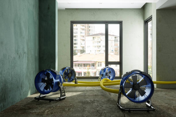 Best Water damage restoration near me  in New Richmond, OH